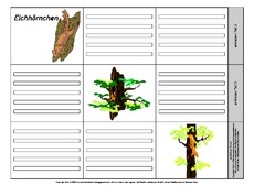 Leporello-Eichhörnchen-6-1-2.pdf